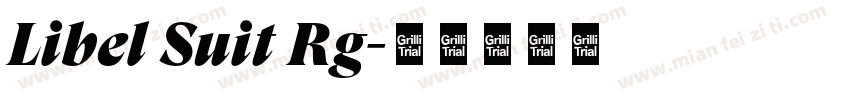 Libel Suit Rg字体转换